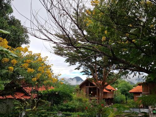 a house in the middle of a forest with trees at Oasis Pai Resort in Pai