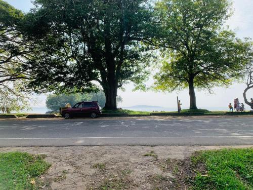 Naturlandskabet i nærheden af landstedet