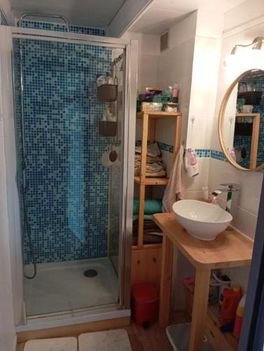 a bathroom with a shower and a sink at Le Charme des Barcarelles in Le Barcarès
