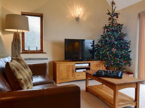 a living room with a christmas tree and a television at Morlais - Hw7599 in Llanaber