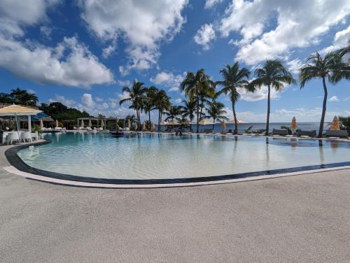 a large swimming pool with palm trees and the ocean at Ti Roc Studio in Le Diamant