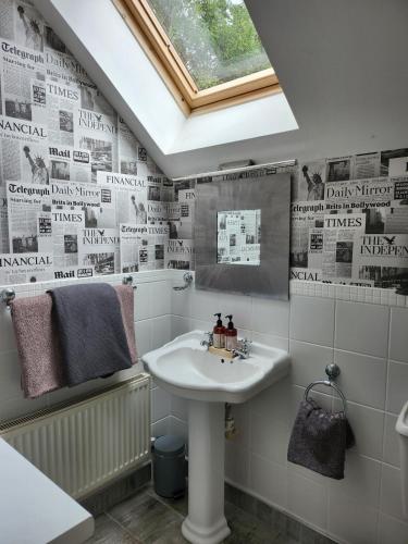 a bathroom with a white sink and a skylight at Faithlegg House Lodge in Waterford