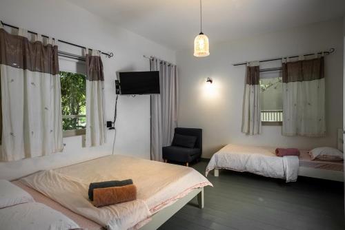 a bedroom with two beds and a tv and a chair at וילה בקיבוץ דפנה - אירוח וטיולים בלב טבע פראי in Metsudat Menahem Ussishkin Alef