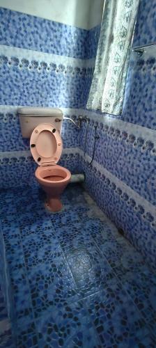 a bathroom with a pink toilet in a blue room at Chander Pahar Retreat in Kalimpong