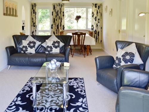 Saint CleerにあるTrevarno - B6527の革張りのソファ2脚とテーブルのあるリビングルーム