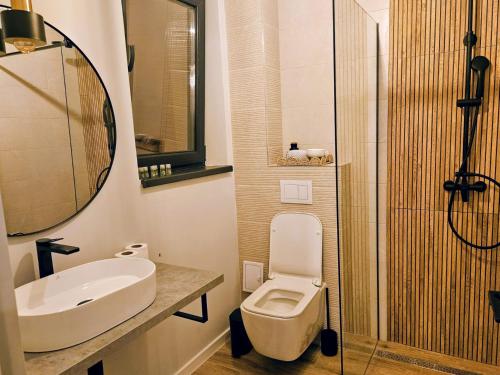 a bathroom with a toilet and a sink and a mirror at RuMa Home Zarnesti in Zărneşti