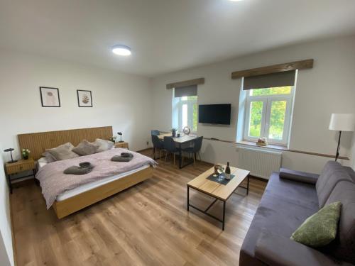 Un dormitorio con una cama y una sala de estar. en Apartmány Mikulov 45, en Mikulov v Krušných Horách