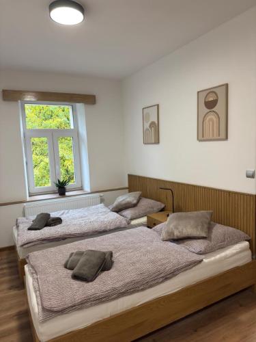 three beds in a room with white walls at Apartmány Mikulov 45 in Mikulov v Krušných Horách