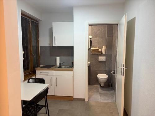 a small bathroom with a toilet and a sink at Bellavista Home in Trimbach