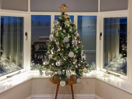 een kerstboom in een kamer met ramen bij Barnleigh in Ludlow