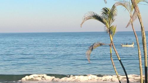 a palm tree on the beach with a boat in the water at Pousada DiMari in Boicucanga