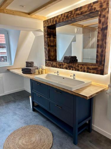 a bathroom with a sink and a mirror at Le Nid de Schatzi in Haguenau