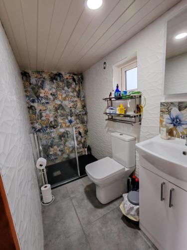 a bathroom with a toilet and a sink at Hilltop Cabin in Cultra
