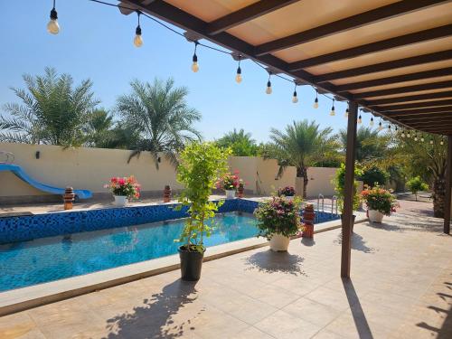 Πισίνα στο ή κοντά στο hatta sky