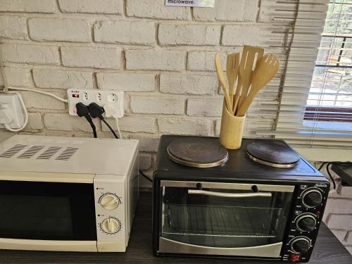 a microwave and a toaster oven with wooden utensils at Lalapanzi Accommodation in Vosburg
