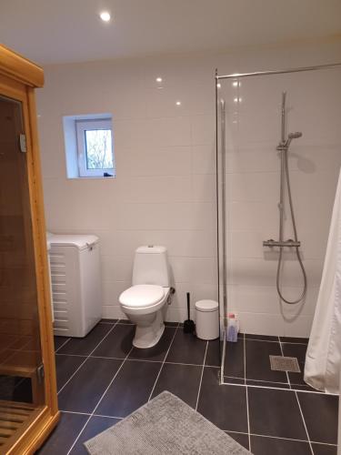 Un baño con inodoro y ducha en Önnestad guest house, en Önnestad