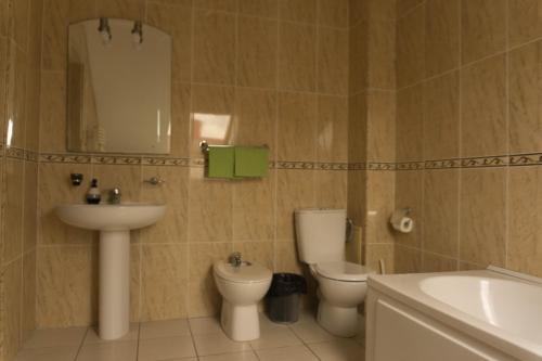 Un baño con lavabo, inodoro y espejo. en Vila Vladimir, en Poiana Brasov