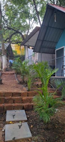 Zahrada ubytování Green Garden Resort