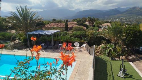 Fotografie z fotogalerie ubytování Villa les Palmiers pool spa view of Bavella v destinaci Sainte-Lucie de Porto-Vecchio