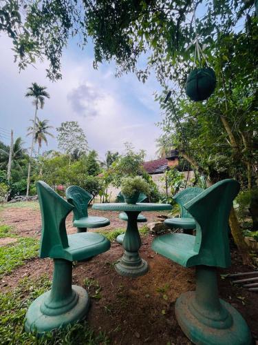 Gallery image of Green Pearl Villa in Midigama East