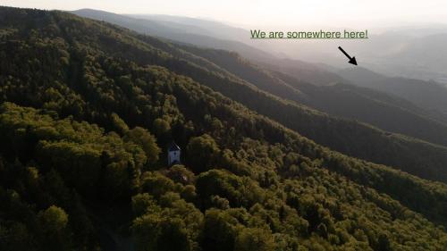 a bird flying over a forest with a house in the middle at Peak & Pause in Bistrica pri Limbušu