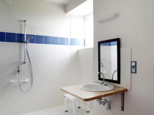 uma casa de banho com um lavatório, um chuveiro e um espelho. em Gîte Les Pingouins de l'Aber em Brélès