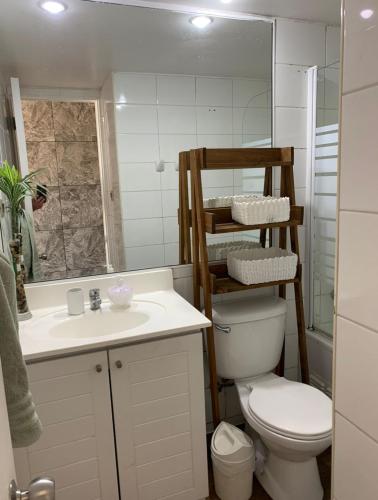 a bathroom with a toilet and a sink and a mirror at Pingel Apartment Vista Mar in Viña del Mar