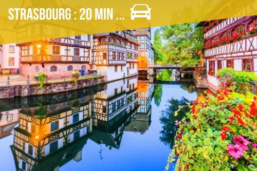 un dipinto di un fiume con edifici e fiori di Escapade Alsacienne Le Printemps - Entre Strasbourg et Colmar 