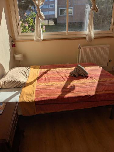 Chambre cozy, vue sur jardin, proche Tram centre ville & aéroport