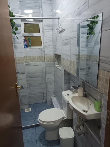 a bathroom with a toilet and a sink and a shower at 1 bedroom BNB Meru in Meru