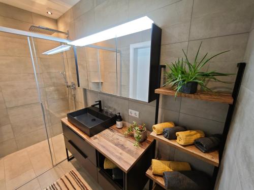 a bathroom with a sink and a shower with a mirror at HausTipTop in Flachau