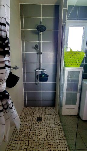 a bathroom with a shower with a blue wall at Au petit Suquet in Andregeat