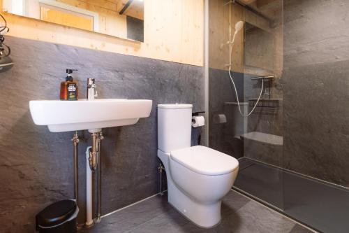 a bathroom with a toilet and a sink at Tinyhouse Wald-Liesl in Neuwerk