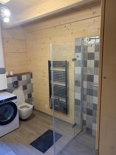 a bathroom with a toilet and a glass shower at chata Malina in Martin