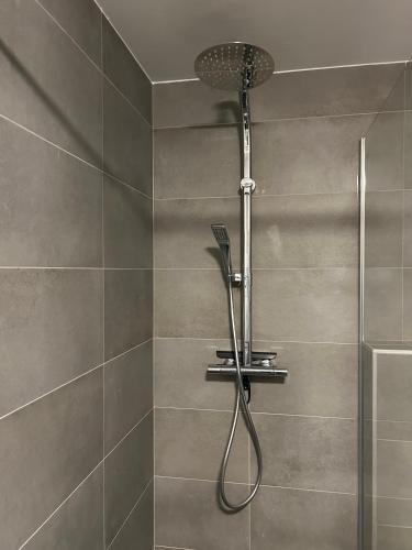 a shower with a shower head in a bathroom at Maison de la Fontaine in Hierges
