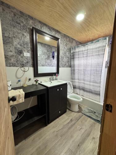 a bathroom with a sink and a toilet and a mirror at Cabañas Campo Frutillar in Frutillar