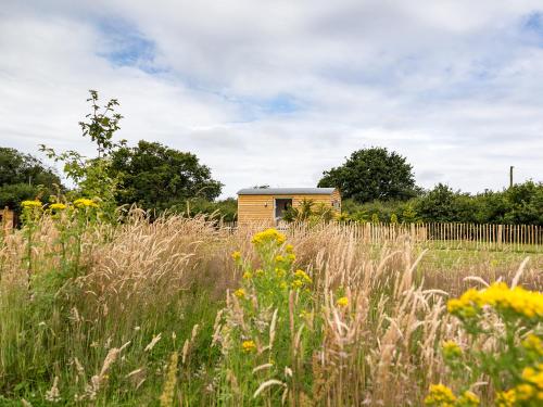 a field of tall grass with a building in the background at Rosemary in Wootton Bridge