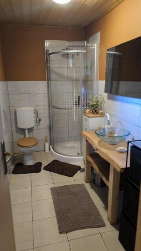 een badkamer met douche, toilet en wastafel bij Plitvice Waterfall Millhouse Challet Stipanov Mlin in Plitvička Jezera