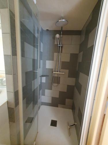 Duplex St Martin في أوسيل: دش مع باب زجاجي في الحمام