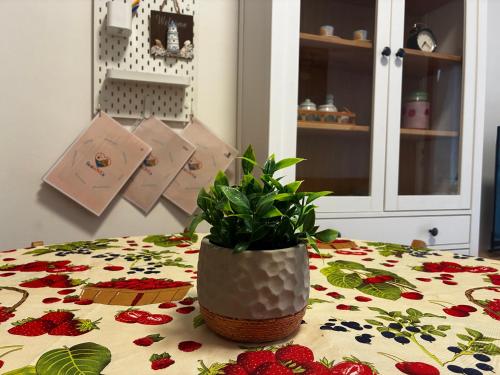 a potted plant sitting on top of a table at ScaLOVEa in Scalea