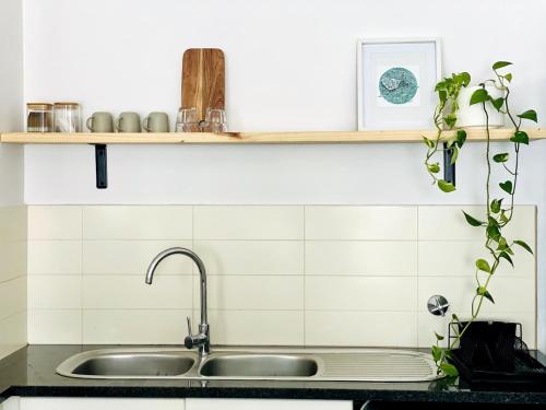 a kitchen counter with a sink and some plants at Surf & Stay - Muizenberg Beach in Muizenberg