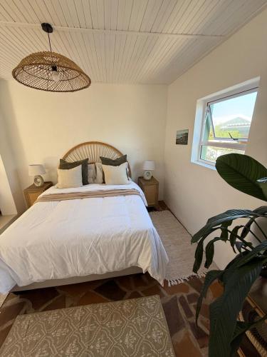 a bedroom with a bed and a window at Seaside Garden Cottage Schoenmakerskop in Gqeberha
