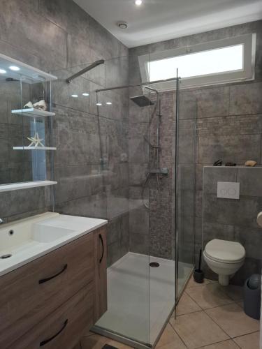 a bathroom with a shower and a sink and a toilet at Sole Rossu in Albitreccia