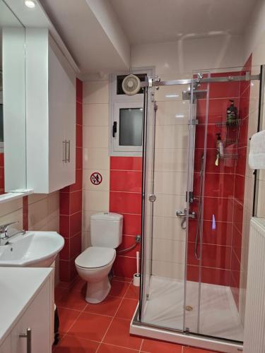 a bathroom with a shower and a toilet and a sink at CAVE one bedroom apartment in Ioannina