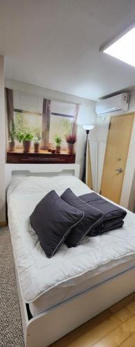 a bedroom with a bed with a window and plants at 수서역삼성병원대치동공항버스 in Seoul