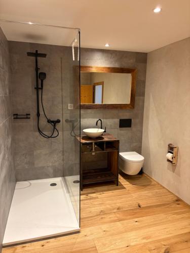 a bathroom with a shower and a sink and a toilet at Ustreia Orta in Lohn