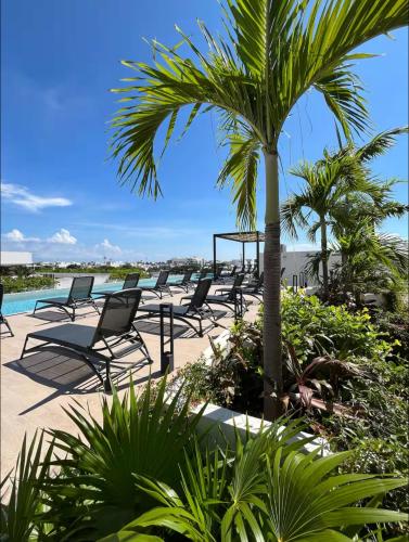 a row of chairs and a palm tree on a beach at Casa Xaman-Ha At Urban Towers in Playa del Carmen