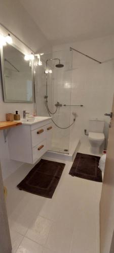 Un baño con ducha, lavabo e inodoro. en Gio st Gio apartment 2 Antiparos st Giorgio, en Agios Georgios