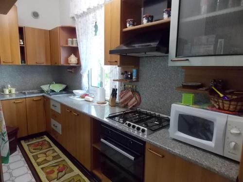 Cuisine ou kitchenette dans l'établissement Appartamento Magnolia