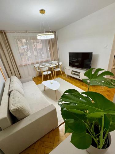 a living room with a couch and a table at MW Leo Apartament in Konin